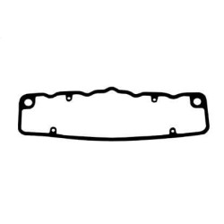 Case - IH 1294 VPA4511 Svirties dangčio tarpiklis