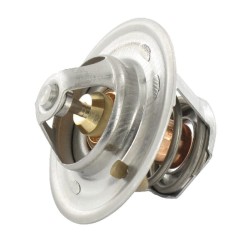 Case - IH 1394 RE501052 Termostatas