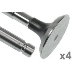 Case - IH 1494 VPA1290 Išmetimo vožtuvas