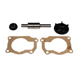 Case - IH 275 VPE2079 Vandens siurblio remonto komplektas