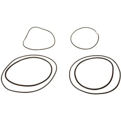 Case - IH 395 VPJ7356 O žiedo sandariklio komplektas