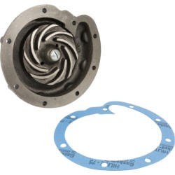 Case - IH 484 3132739R94KR Vandens siurblys