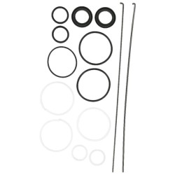 Case - IH 484 55355C91 vairo cilindro remonto komplektas