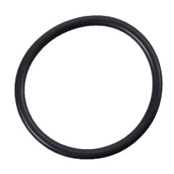 Case - IH 585 / 585XL E1NN3125AA O žiedo saugiklis CNH