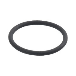 Case - IH 784 1328393C1 O žiedo montavimo vožtuvas 26 x 2,5