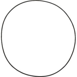 John Deere 6115R 001051037 O žiedas