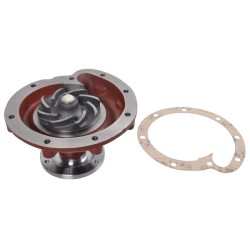 Case - IH 433 3136217R93KR Vandens siurblys, tinkamas CI