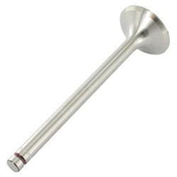 Dalis Case-IH technikai 3055055R2 Įsiurbimo vožtuvo Case - IH