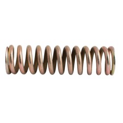 Dalis Case-IH technikai 920397 Pavasaris