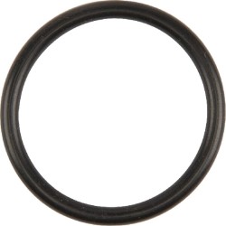 Dalis Case-IH technikai 717068R1 žiedas