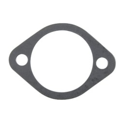 Case - IH C70 F199201310020 Skirstomojo veleno dangtelio tarpiklis