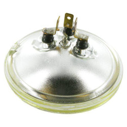 Priekinių žibintų korpusas – IH 3072947R91