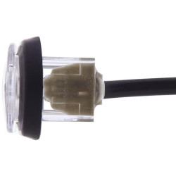 Valstybinio numerio apšvietimas LED, 0,50 W, stačiakampis, 12/24/10/33 V, skaidrus, užsegamas, 79x2 LED, Hella 2KA959640102