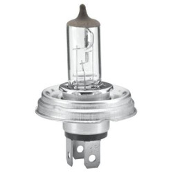 Lemputė Halogen R2 12V 60W P45t-41 Hella 8GJ004173121