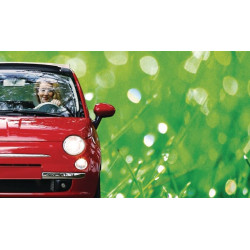 Lemputė Halogeninis vamzdis H7 12V 55W PX26d baltas Philips GL12972LLECOB1