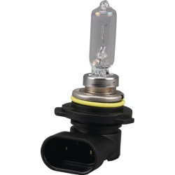 Lemputė 12V 55W PX22d Philips GL9012LLC1