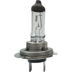 Lemputė H7 24V 70W PX26d Kramp B2438