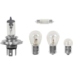 H4 lempučių asortimentas 484072