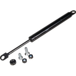 Amortizatorius G1020966