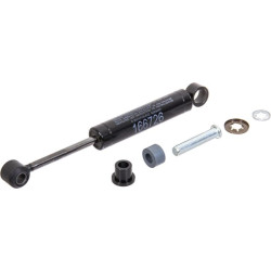 Amortizatorius SK167555