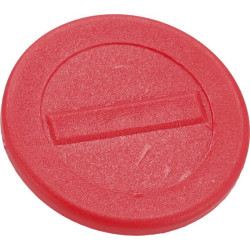 Kepurėlė 199961900070