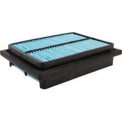 Kabinos filtras P500138