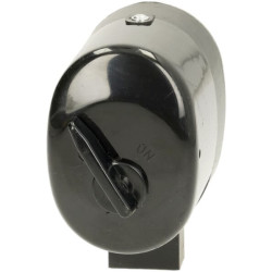 Valytuvo variklis, trumpas velenas su jungikliu 1318800020N