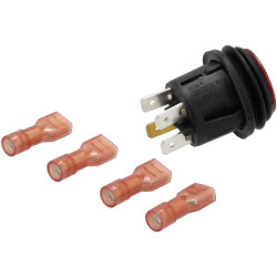 Valdymo jungiklis F198100360461