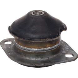 Kabinos guma 60118451