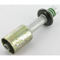 Presuota mova Nr.8, 8 KL070481