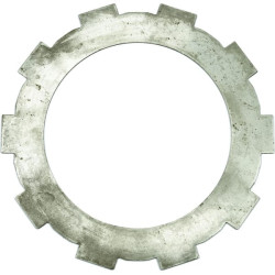 Pavaros diskas 5162535