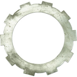 Pavaros diskas 5162535