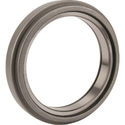 Atlaisvinimo guolis 500063400