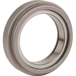 Atlaisvinimo guolis 500063300