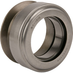 Atlaisvinimo guolis 500114200