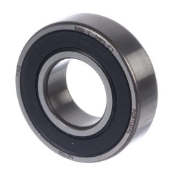 Smagračio guolis 410009740