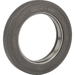 Atlaisvinimo guolis 500028300