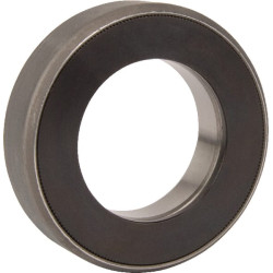 Atlaisvinimo guolis 500007610