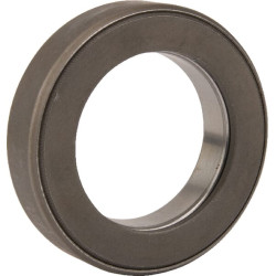 Atlaisvinimo guolis 500058810