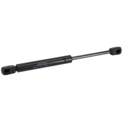 Cilindras 3660101M91