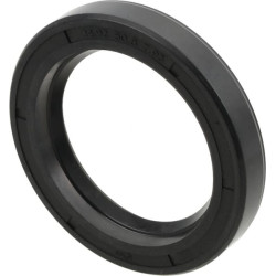 Sandariklis AH21815N