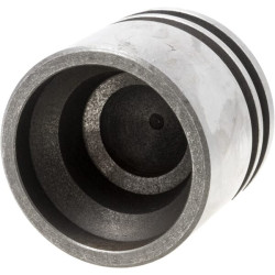 Kėlimo stūmoklis C-360 5058025N