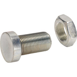 Reguliavimo varžtas RO75L001