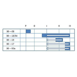 Uždegimo jungiklis P-0-1-2-3, Pneutron 20500202PN