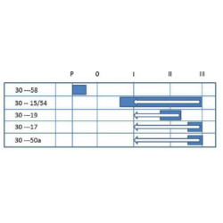 Uždegimo jungiklis P-0-1-2-3, Pneutron 20500103PN