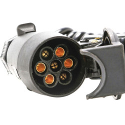 Spiralinis prailginimas 7 polių (5 laidai) 5 m Vyriškas/Moteris 484063