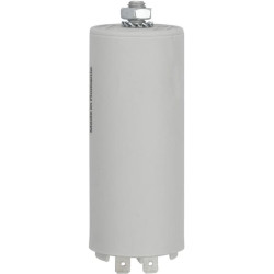 Kondensatorius su kištuku 30µF FGP013626