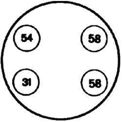 Lizdas – 24V – 4 kontaktų jungtis – Kištukas: Sraigtinis kontaktas 8JB001944011