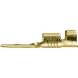 Gnybtų mentė, balta, 1,5–2,5 mm² 6,3 x 0,8 mm Ø6,3 mm, lizdinė plokštelė (100x), Hella 8KW744823003