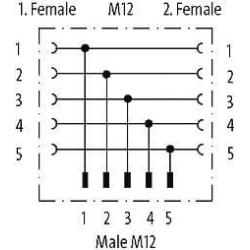 Tee M12 Moteris-Moteris-Vyras M12TFFM